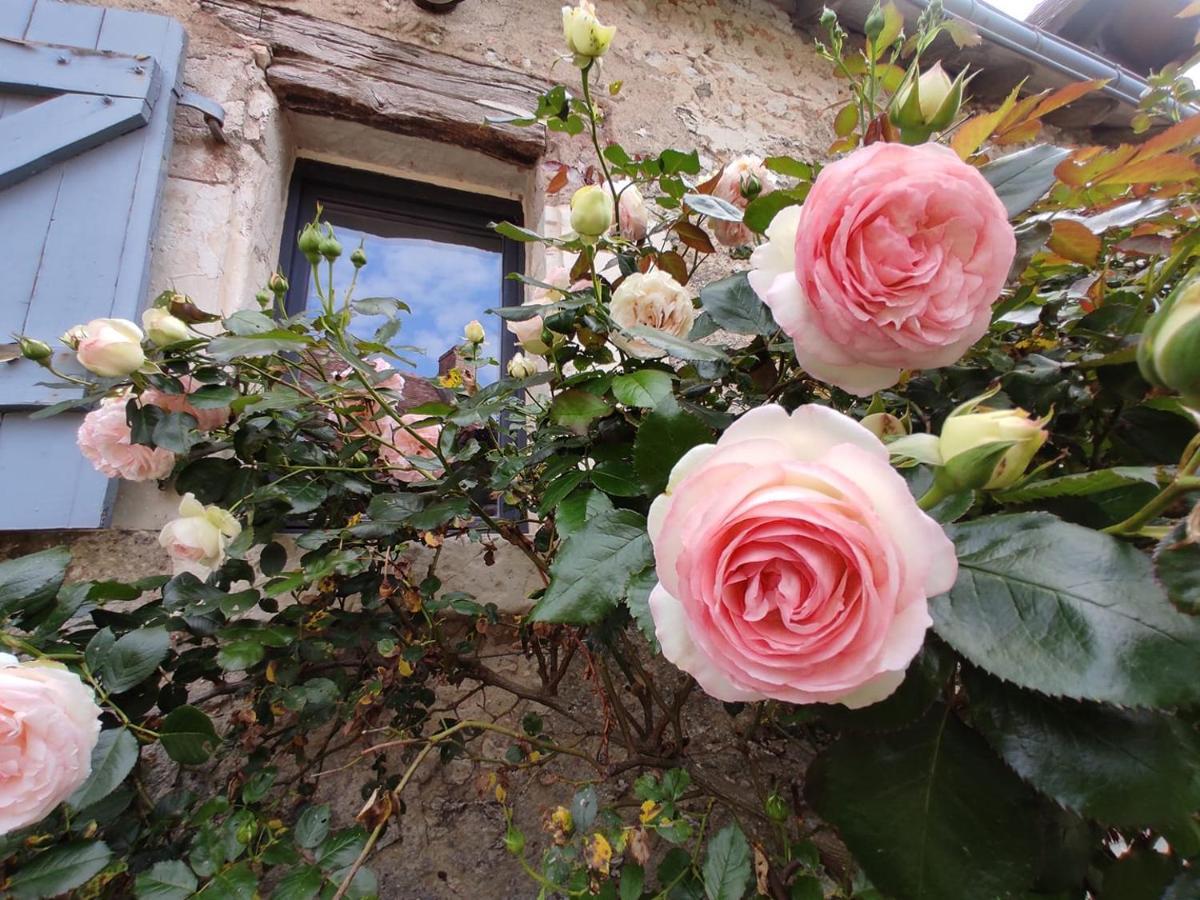 Villa Au Jardin De La Marquetterie Cigogne Exterior foto